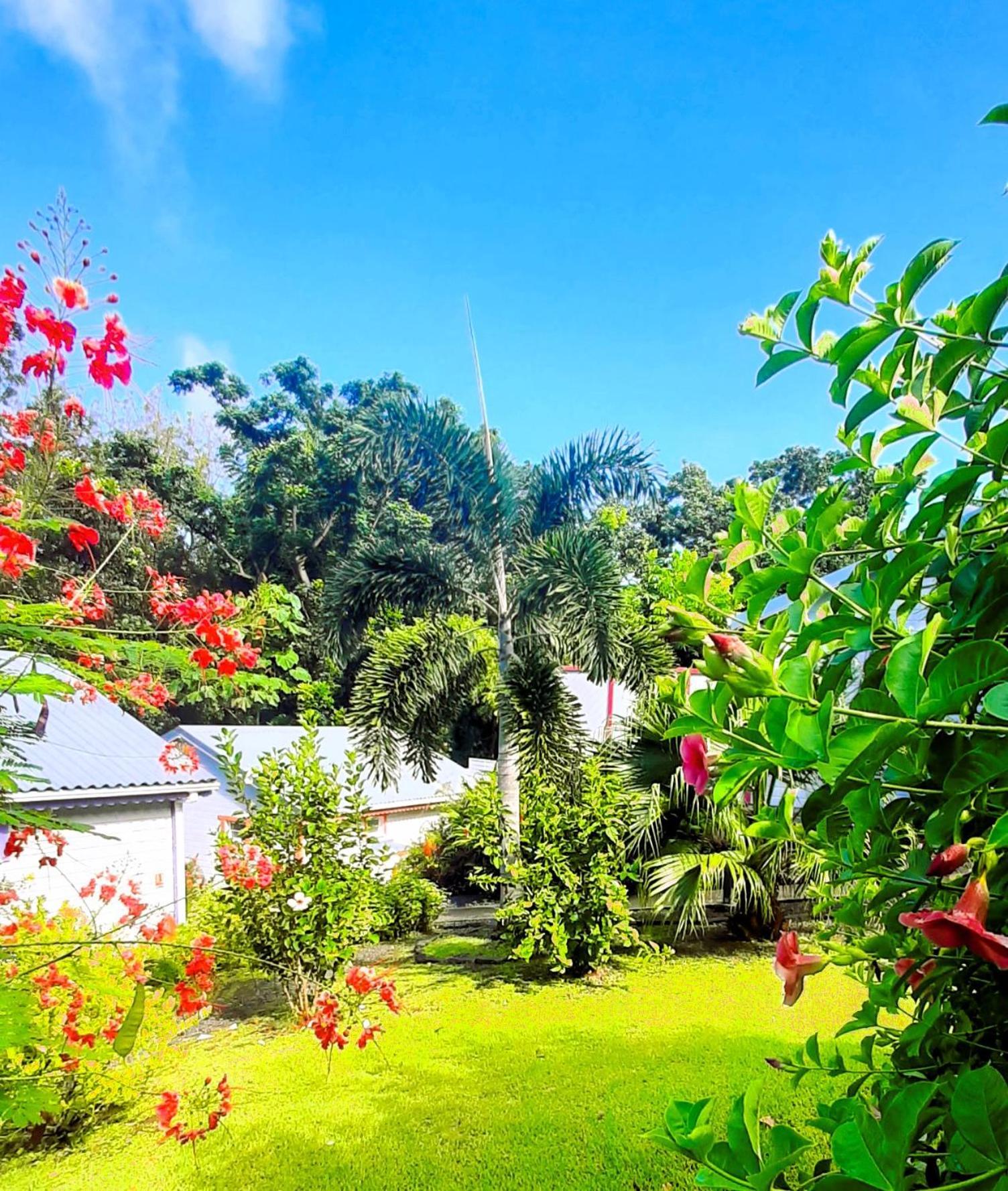 Caraibes Cottage Grenat Piscine Privee 900M De Grande Anse Deshaies Exterior foto